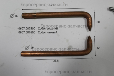 Хобот верхний