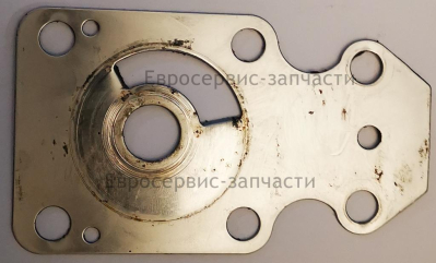 Пластина крыльчатки F20ABMS